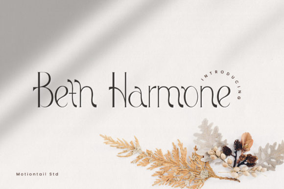 Beth Harmone Font for Web Design