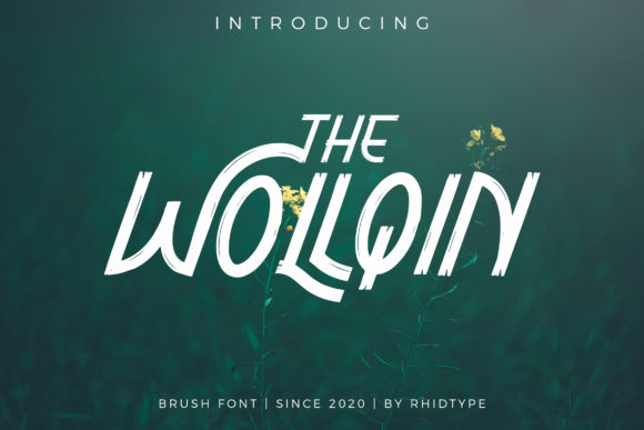 The Wollqin Font: A Brush-Style Display Typeface for Creative Branding