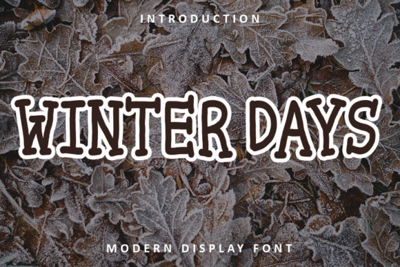 Winter Days Font for Stronger Campaigns